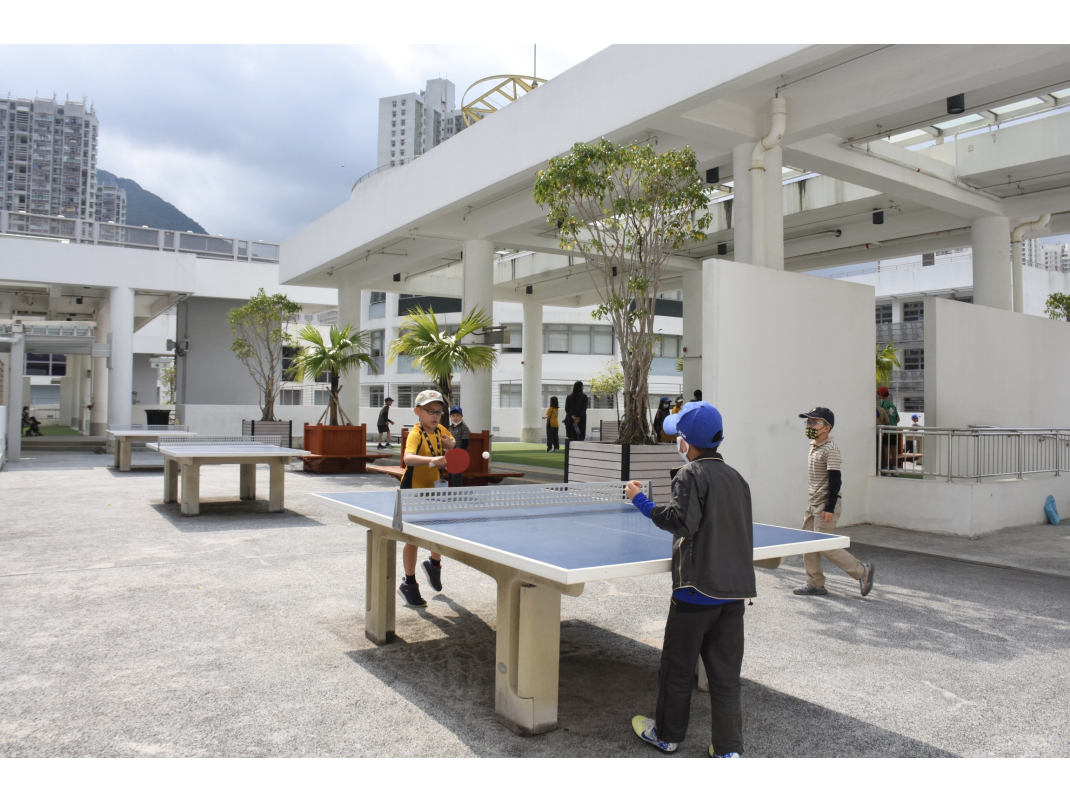 20_Primary Rooftop Garden_Campus